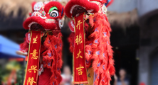 &#30343;&#20896;